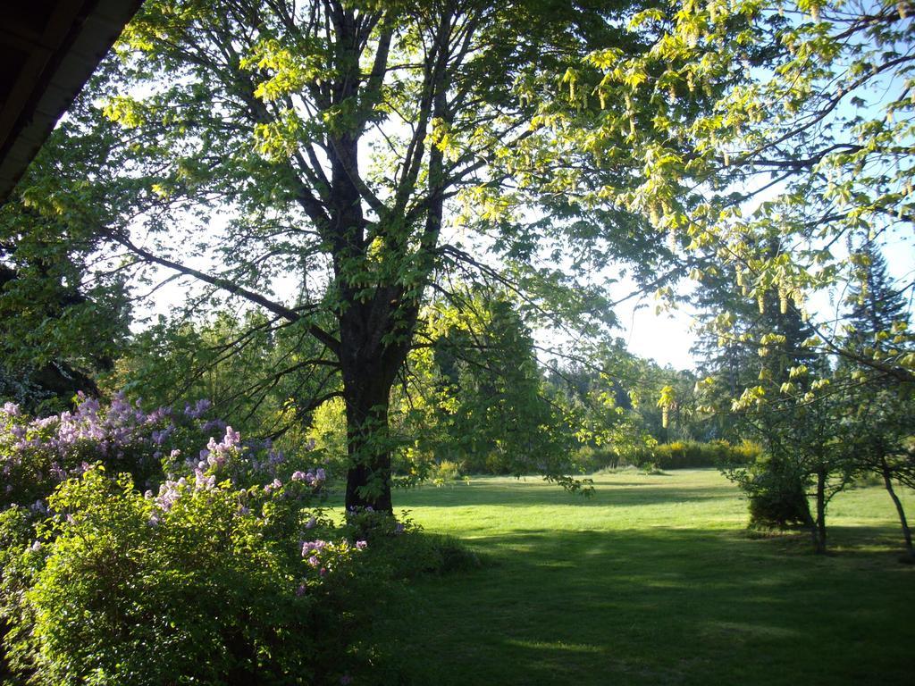 Lake Trail Guesthouse Cumberland Exterior foto